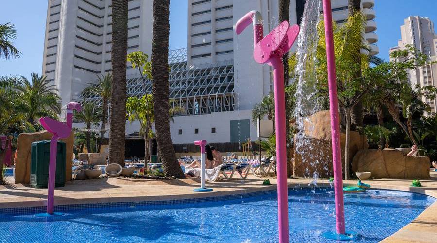 Flamingo Oasis